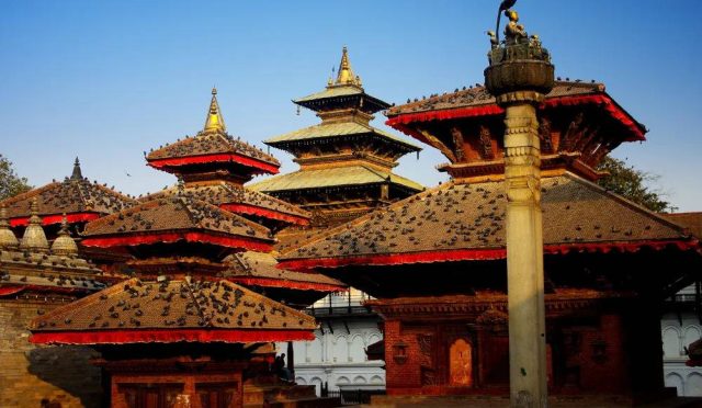 Nepal'in Kalbinde Vahşi Bir Rüyaya Yolculuk: Chitwan Safari Park Deneyimim!