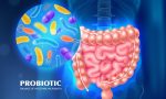 Probiyotik Nedir, Faydaları Nelerdir? Bağırsak Sağlığının Anahtarı Dr. Seren'den İpuçları