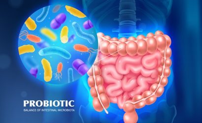 Probiyotik Nedir, Faydaları Nelerdir? Bağırsak Sağlığının Anahtarı Dr. Seren'den İpuçları