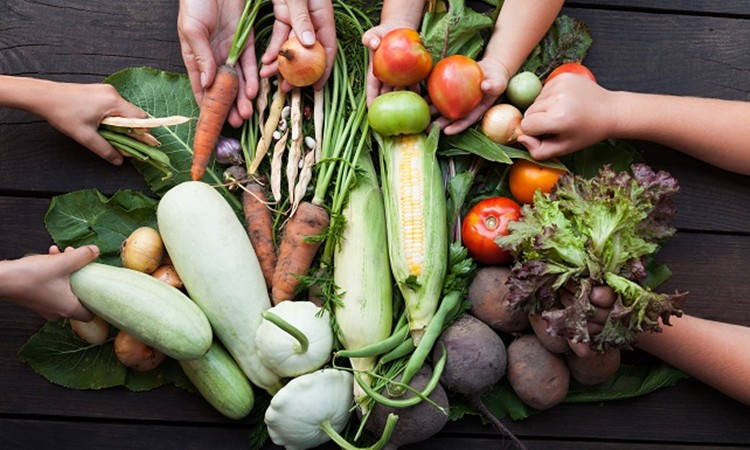 Dr. Seren'den: Sürdürülebilir Beslenme Nedir ve Neden Hayatımızın Merkezinde Olmalı? 1 Sürdürülebilir Beslenmenin Temel İlkeleri
