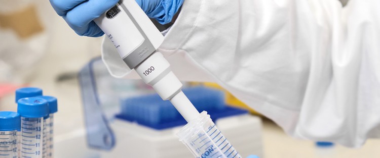 Tahlil Sonuçlarınızı Doğru Okumak: Sağlıklı Bir Hayatın Anahtarı Dr. Seren Korkmaz'dan 1 Tahlil Sonuçları Sadece Rakamlardan İbaret Değildir