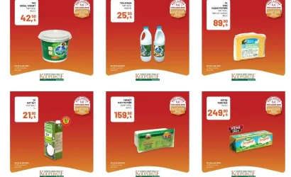 Tarım Kredi aktüel kataloğunda neler var? 2-8 Aralık tarihlerinde geçerli yağ, çay, peynir…