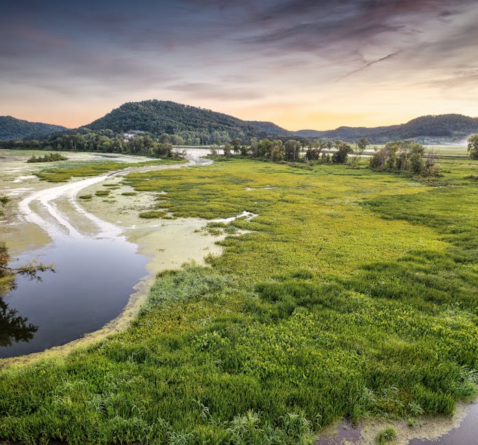 Dr. Seren Korkmaz’dan: Sağlıklı Kilo Alma Rehberi – Doğru Beslenme ve Yaşam Tarzı Sırları