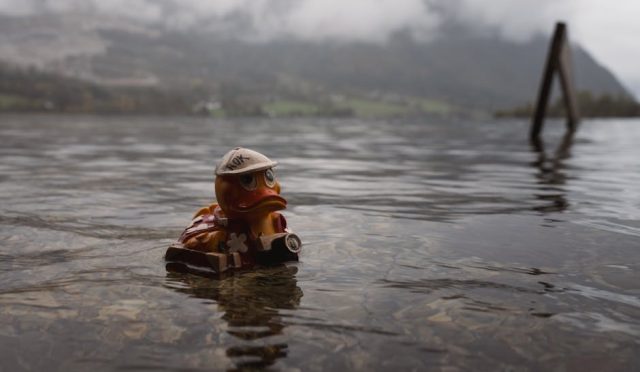 hindistan-a-yolculuk-rehberi-kesfetmeye-cesaret-eden-ruhlar-i-cin-unutulmaz-bir-macera