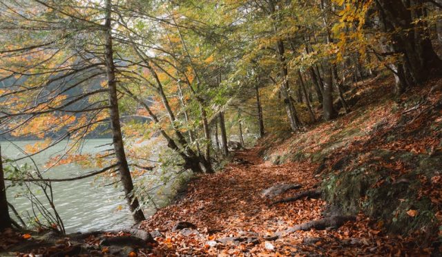 melatonin-eksikligi-ve-beslenme-i-liskisi-huzurlu-uykunun-sirri-mutfakta-gizli