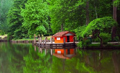 Atatürk Arboretumu: İstanbul'un Kalbinde Nefes Aldıran Saklı Doğa Cenneti