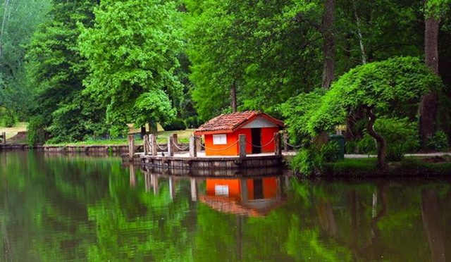 Atatürk Arboretumu: İstanbul'un Kalbinde Nefes Aldıran Saklı Doğa Cenneti