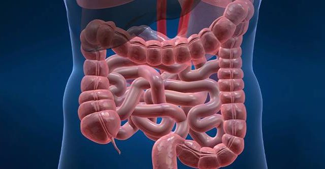 Geçirgen Bağırsak Sendromu: Bilmeniz Gerekenler ve İyileşme Yolları