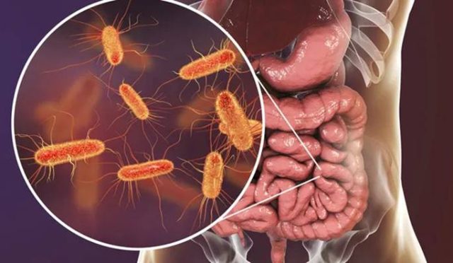 Güçlü Bağışıklık Sistemi Sırları: Dr. Seren'den Sağlıklı Yaşam Rehberi