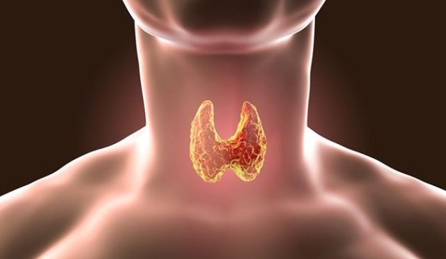 Haşimato Hastalığı ve Selenyum: Tiroid Sağlığınızı Desteklemenin Doğal Yolu
