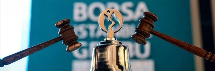 Halka Arz Edilecek Şirketlerin Detayları