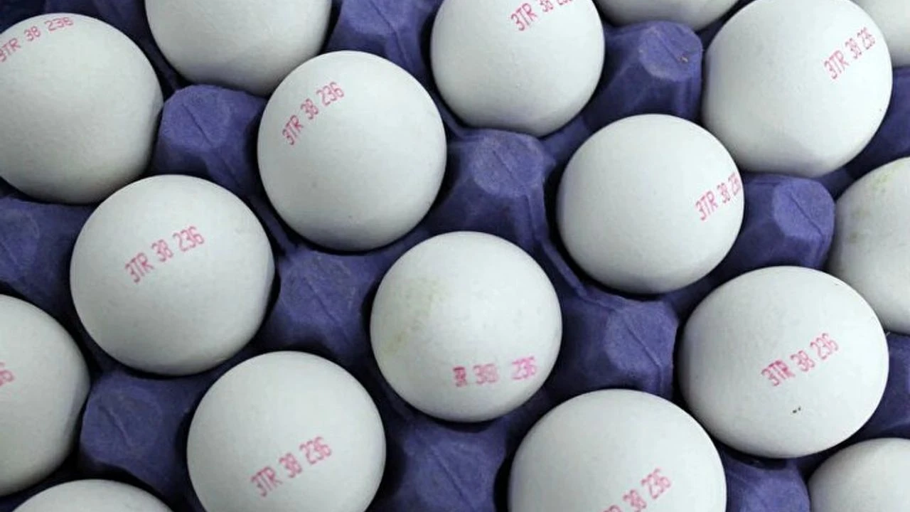 Yumurtaların Numaraları: Sağlığımız ve Etik Seçimlerimiz İçin Bir Kılavuz