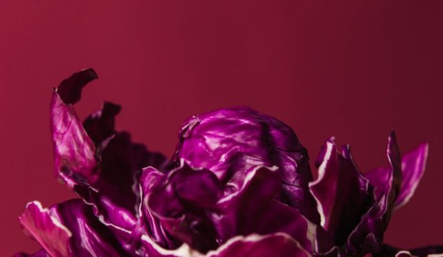 hangi-vitamin-ve-mineral-eksikliginiz-var-vucudunuzun-size-verdigi-sinyalleri-anlayin