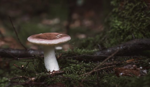 i-nflamasyon-nedir-beslenme-ile-vucudunuzdaki-gizli-yangini-sondurun