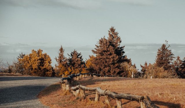 japonya-da-baharin-gizli-kahramani-ume-cicekleri-ve-wakayama-nin-essiz-lezzetleri