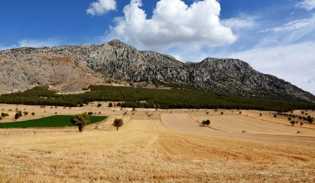 lizbon-gezi-rehberi-okyanusun-akdeniz-ruhlu-baskentiyle-tanisin