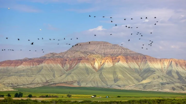 Ankara'dan Tarihe Bir Nefes: Nallıhan'a Yolculuk Başlıyor!