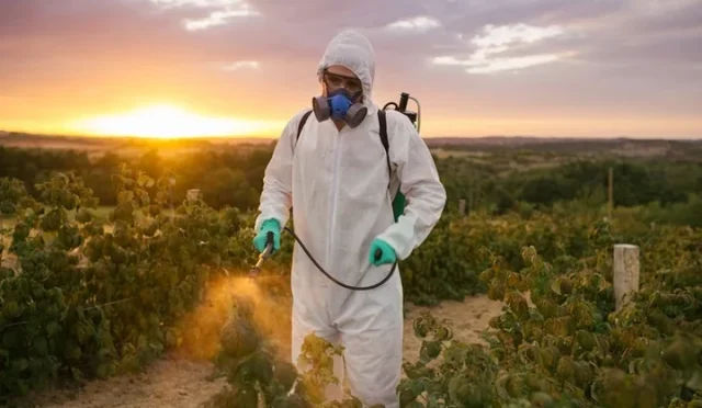 Hangi Besinlerde Daha Çok Pestisit Bulunuyor? Riskli Gıdalar ve Korunma Yöntemleri