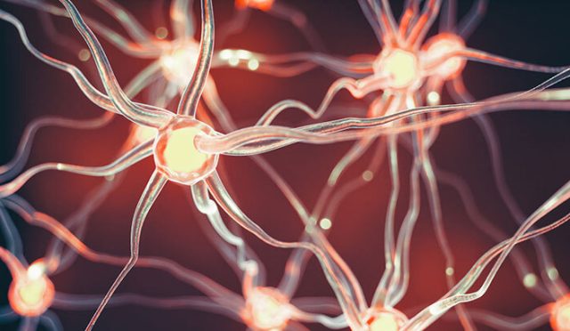 Hormon Sağlığınız Elinizde Dr. Seren'den Beslenme Tüyoları