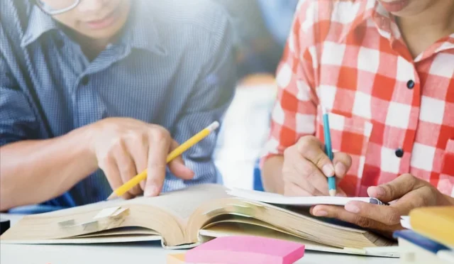 IB, A Level, AP Gibi Uluslararası Programlara Özel Ders Fiyatları Ne Kadar?