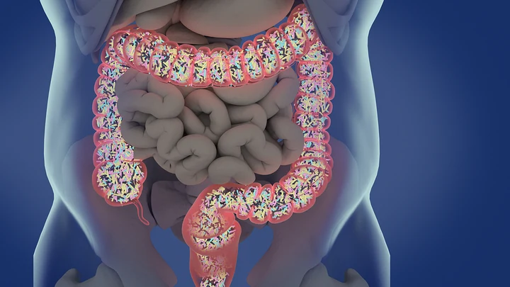 Kronik Hastalıkların Gizli Mimarı: Bozulmuş Bağırsak Mikrobiyotası ve Şifanın Yolları