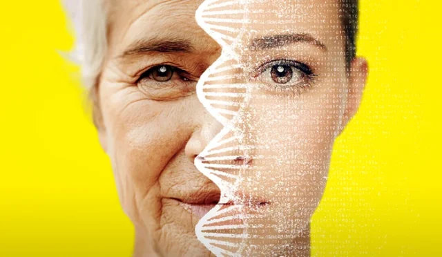 Longevity Nedir? Uzun ve Sağlıklı Yaşamın Dr. Seren'den Sırları