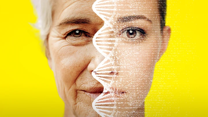 Longevity Nedir? Uzun ve Sağlıklı Yaşamın Dr. Seren’den Sırları