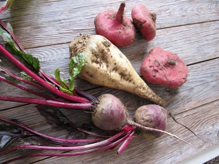 Dr. Seren'den Sağlık Sırları: Pancarın Vücudumuza Mucizevi Faydaları 1 Pancar: Canlı Renginin Ötesinde Gizlenen Bir Şifa Deposu