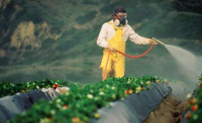 Pestisit Kalanıkları Kabusu Bitti: Dr. Seren'den Sağlıklı Sofralar İçin Güvenli Adımlar