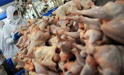 Son dakika: Tavuk Eti İhracatında Durdurma Kararı