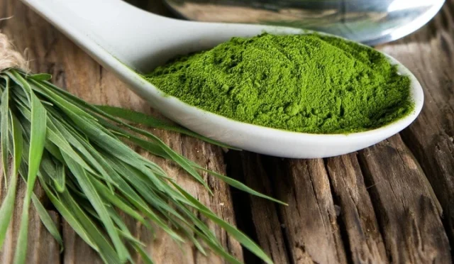 Spirulina: Doğanın Mucizevi Mavi-Yeşil Alginden Gelen Sağlık Gücü