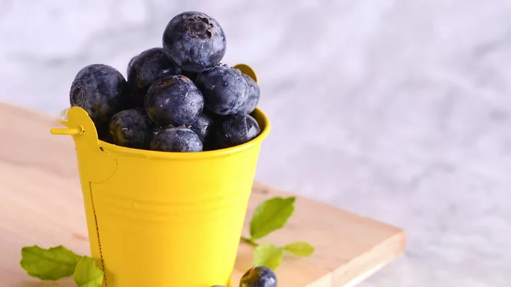 Yaban Mersini: Dr. Seren Korkmaz'dan Sağlığa Mavi Bir Dokunuş 1 Yaban Mersini Neden Sağlığımız İçin Vazgeçilmez Bir Destek?