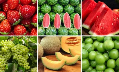 Yaz Meyveleri ve Kan Şekeri Dengesi: Dr. Seren Korkmaz'dan Bilinçli Tüketim Rehberi