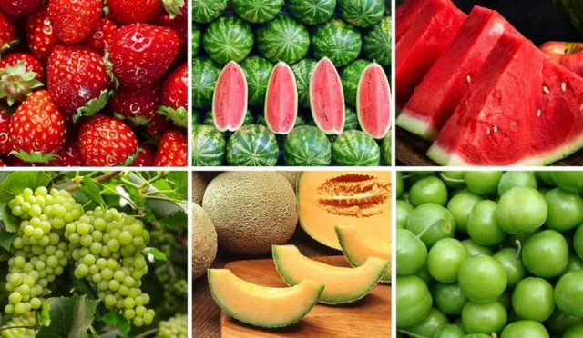 Yaz Meyveleri ve Kan Şekeri Dengesi: Dr. Seren Korkmaz'dan Bilinçli Tüketim Rehberi