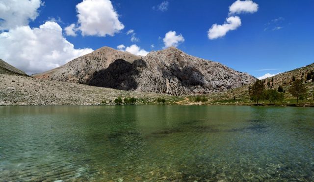 dr-seren-korkmaz-dan-gida-etiketlerinde-yesil-yikama-tuzagina-karsi-rehber