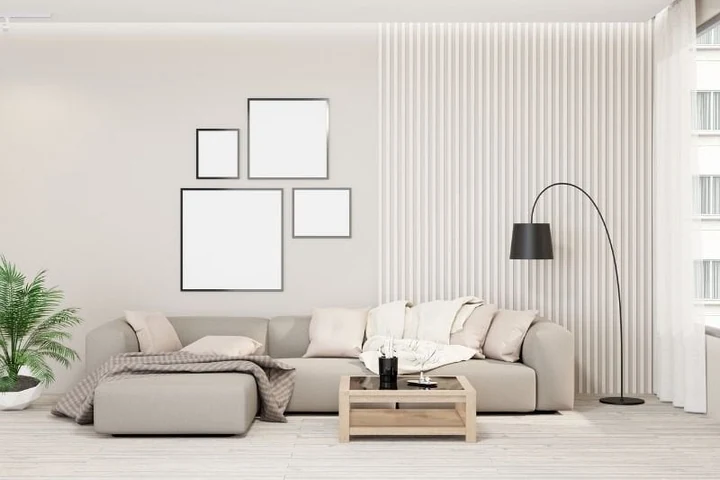 Evcil Hayvan Sahipleri İçin Açık Renk Mobilya Kullanma Kılavuzu