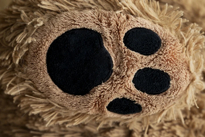 Pati Dostu Kumaş Nedir? Pati Dostu Koltuk Kumaşı Özellikleri
